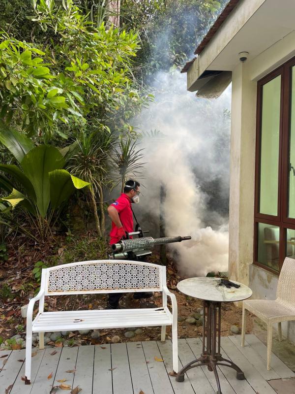 Mosquito Treatment